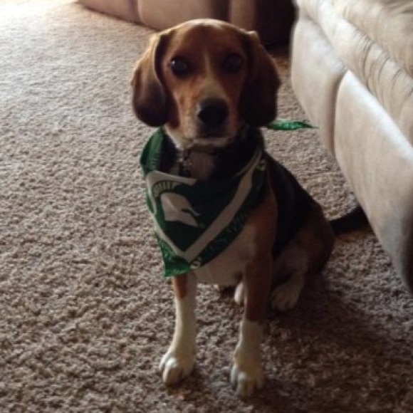 Meet your Posher, Katy! - Picture 8 of 8